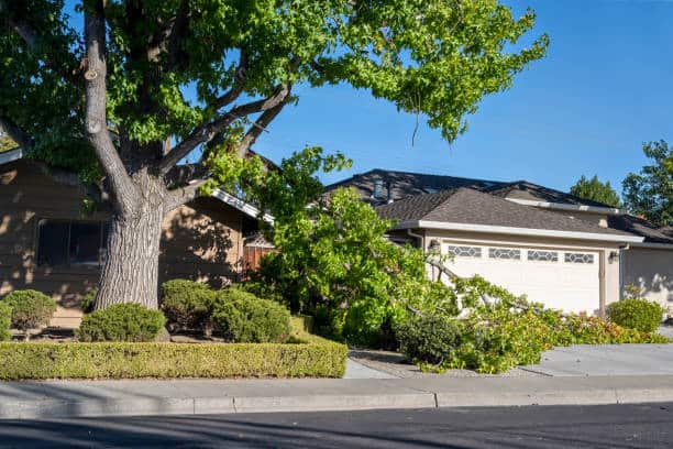 Debris cleanup