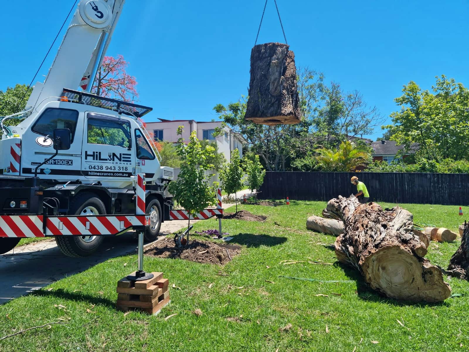 Landscape design and installation
